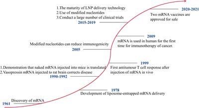 Recent Advances in the Molecular Design and Delivery Technology of mRNA for Vaccination Against Infectious Diseases